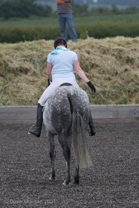 ISIS Dressage Challenge 2008